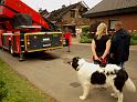 Hausexplosion Bornheim Widdig P224